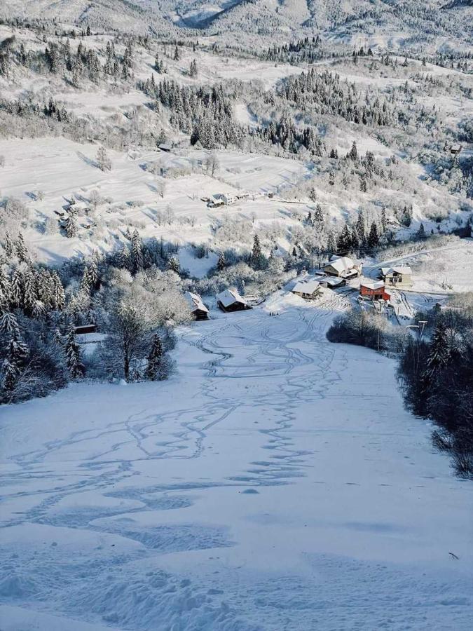 Cottage Kurshevel Slavske Bagian luar foto